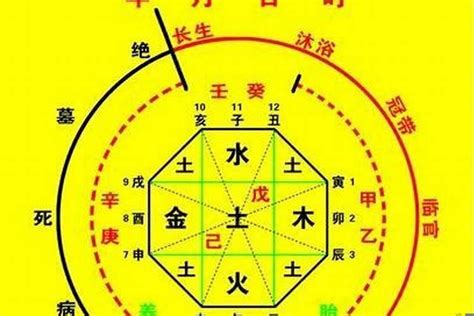 八字喜木|八字入门基础 第六篇 如何判断八字喜用神